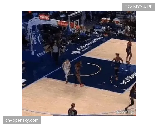 2026年WNBA全明星赛举办地正式确定为菲尼克斯